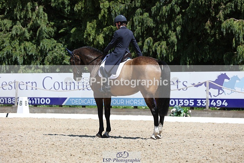 230526-135543-06424 - 369-GIDO_G-Sally_Chamberlain-WEDTrotUp+DR