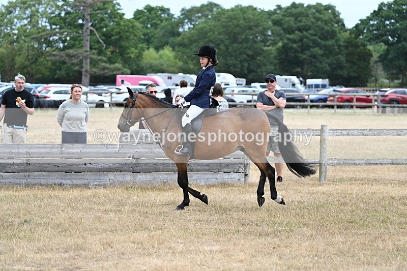 WJ7_7227 - Class 2 Best Rider