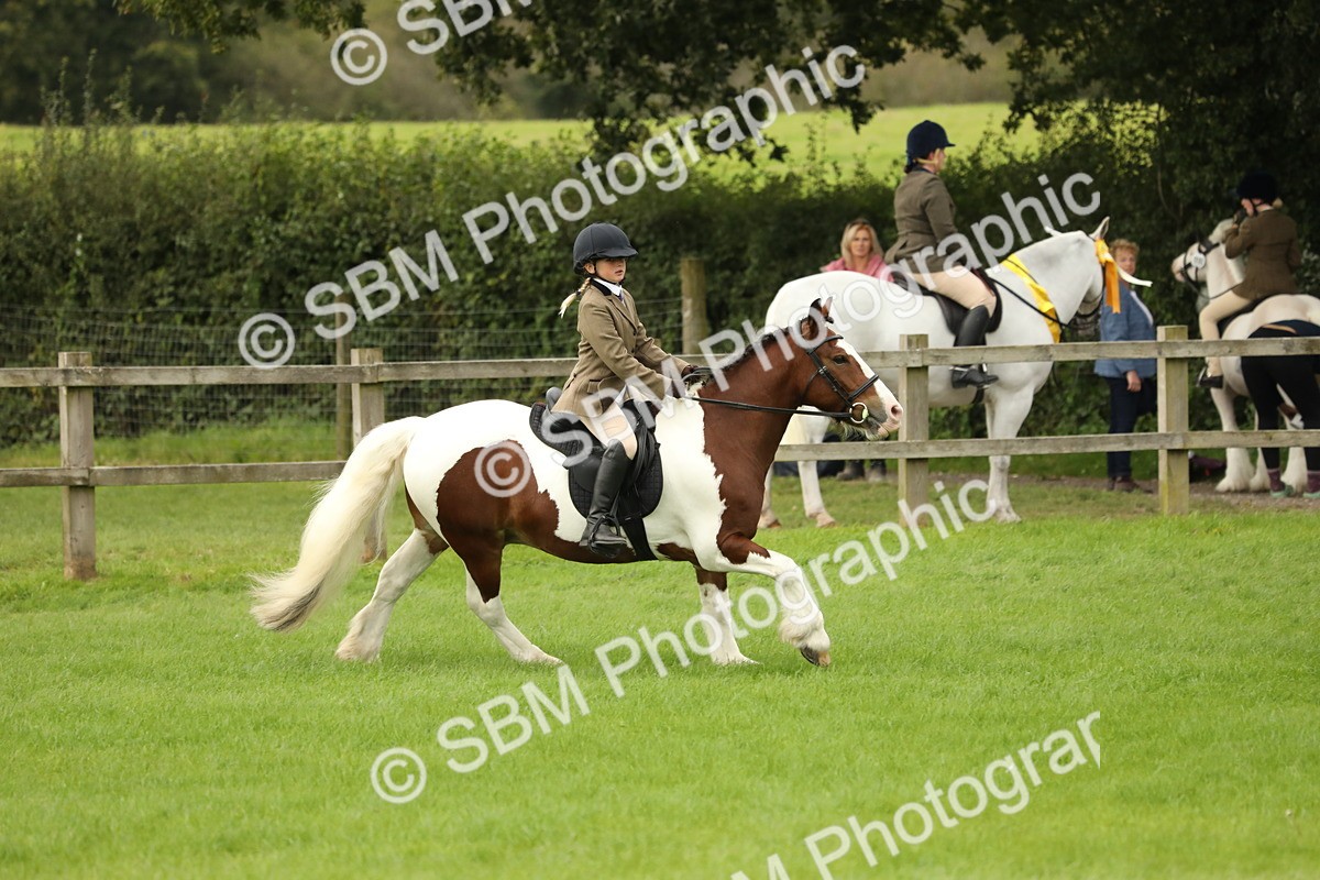 SBM_71711 - S41 - Ridden Equitation (Best Rider)