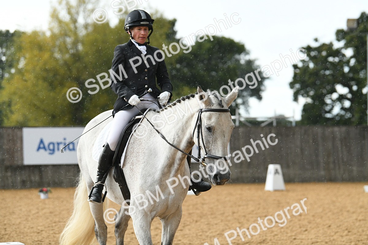 SBM_11184 - D28 Elementary Taster Elementary 42