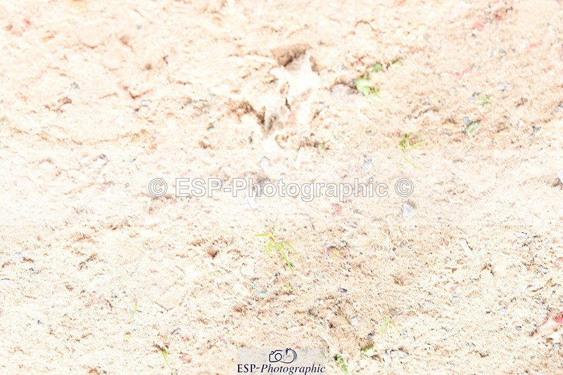 230902A-115844-00956 - Cls 9 1.10m Amateur Quali