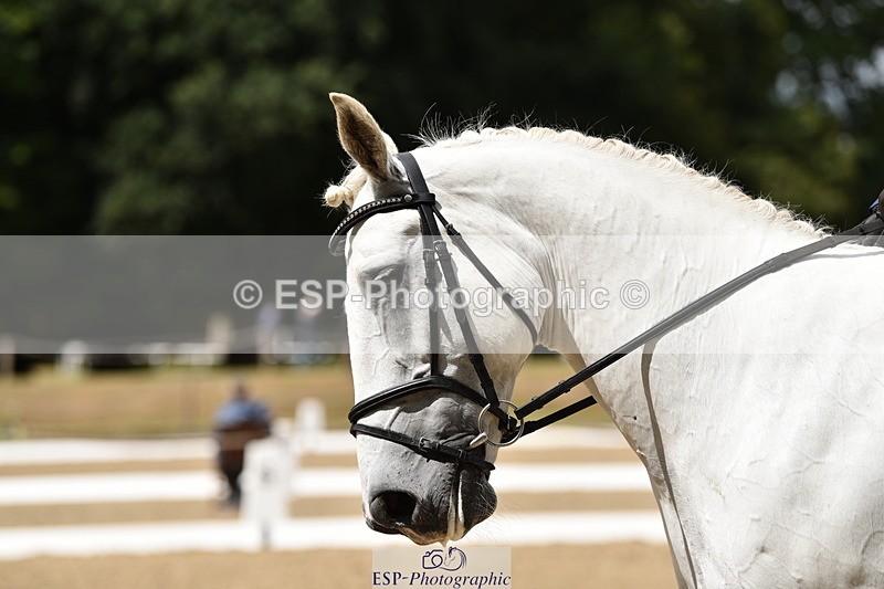 140110A-013008-10943 - 139-Clare.Brown-Tommie.Too