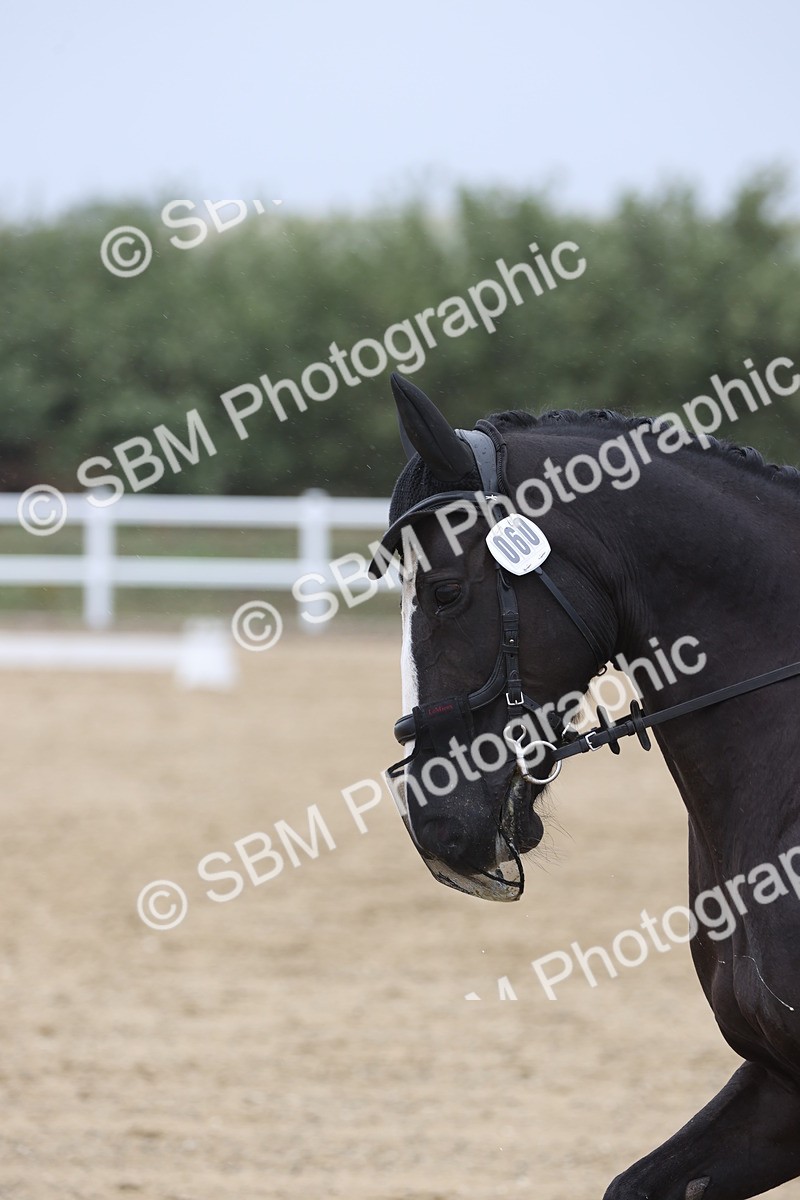 SBM_004386 - Class 9 - Novice 3 Champs