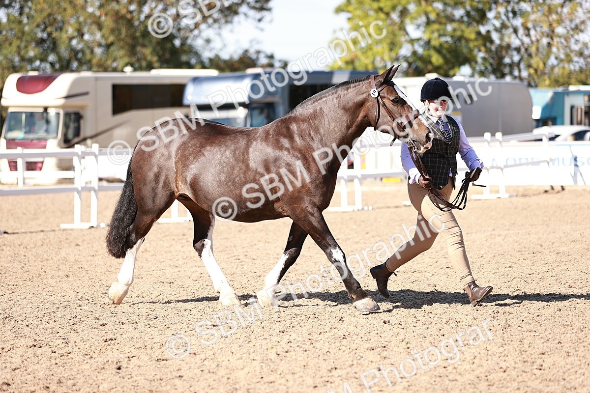 SBM_13224 - Class 405 - IH Show Cob