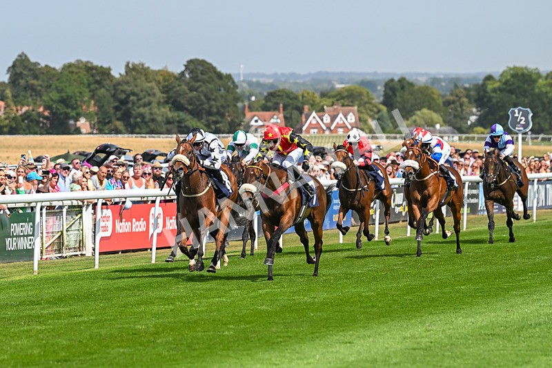 130825-Race 1-Arduis Invicta-6714 - Race 1