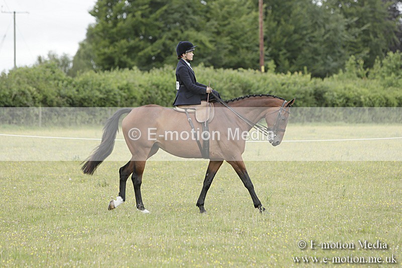 BVR160717-2342 - Side Saddle Classes 16/07/17