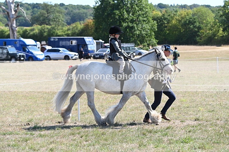 WJ6_7814 - Class 36 Lead Rein
