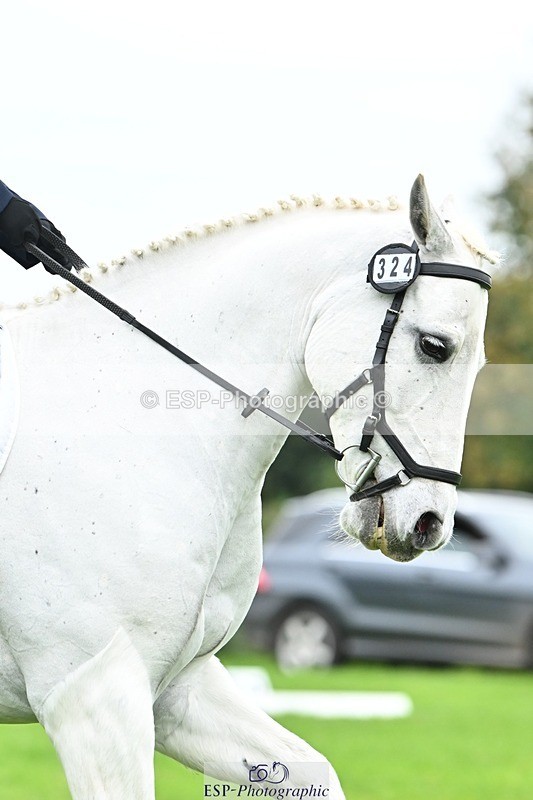 241024-121504-02679 - 324-Helena.Pope-ROSSALOUGHA.TED