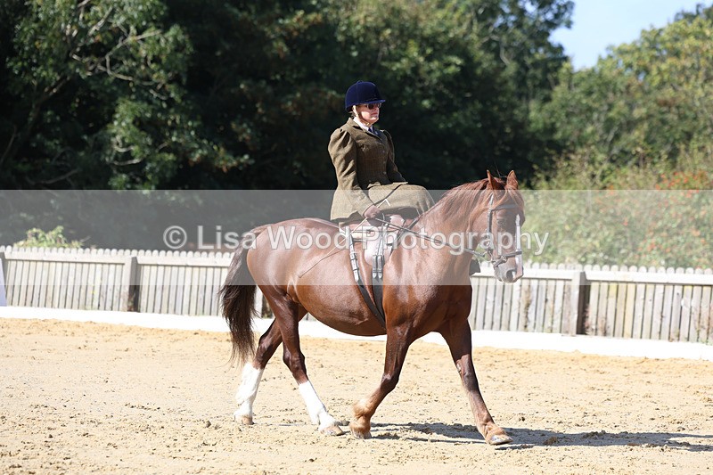 3E7A2727 - Class 4: Prelim 6 Section A Championship