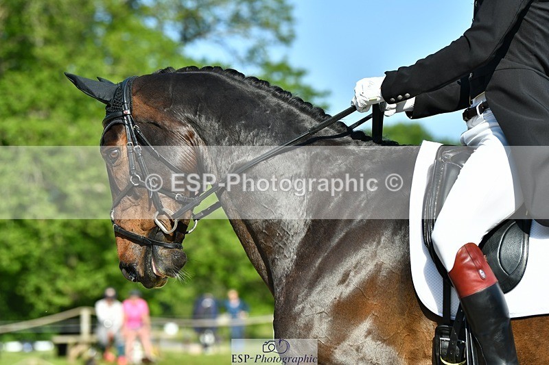 230525-091230-03711 - 403-BALLYCOOG_BREAKER_BOY-Will_Rawlin-DR