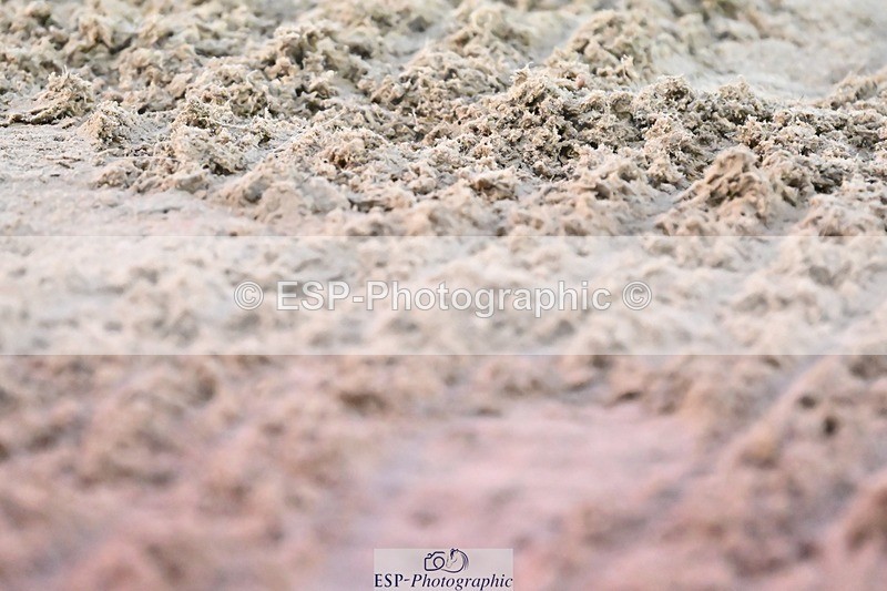 241103-164927-03428 - Novice 1 - 16.18 to 17.50