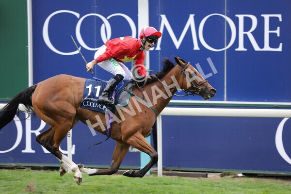 yr19082022r4-75 - Race 4 3.35pm Coolmore Wootton Bassett Nunthorpe Stakes (British Champion Series Race)