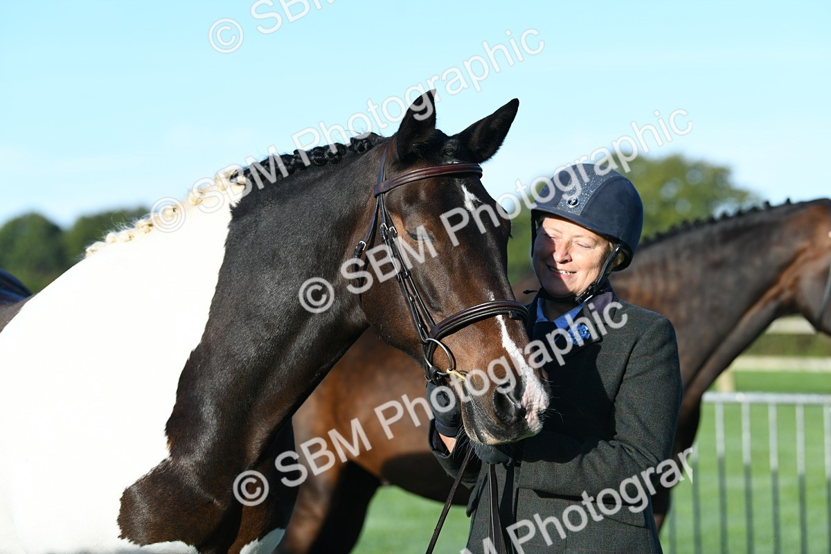 SBM_32790 - S15 - Condition & Turnout In Hand
