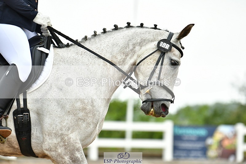 230708A-111317-02520 - Prelim 13