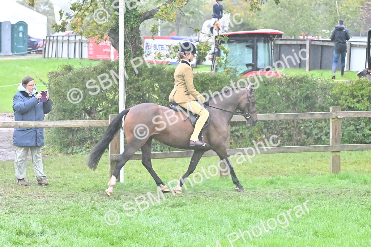 SBM_72166 - Equitation Supreme Championship