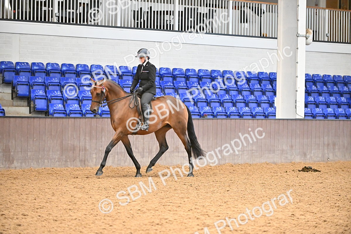 SBM_002373 - Class 22 - BSHA Ridden Hack & Riding Horse