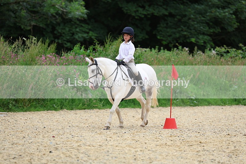 3E7A9601 - Walk trot run