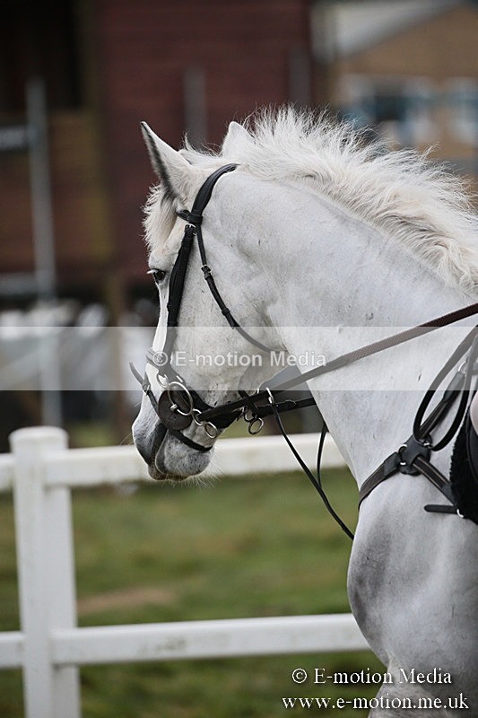 PtP 170219 -556 - Combined Services Point-To-Point Larkhill 17/02/19