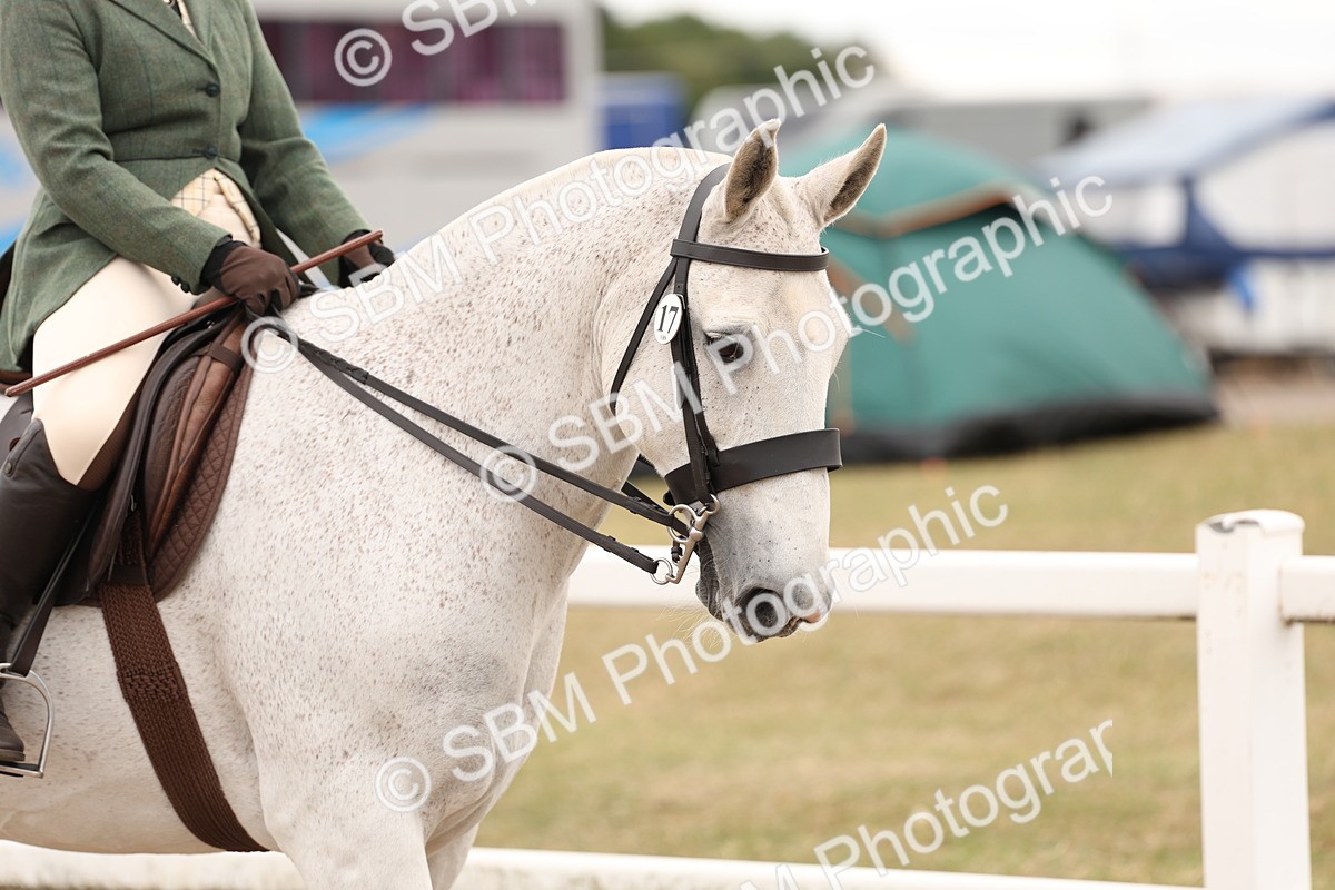 SBM_19485 - Class 215 - Ridden Show cob