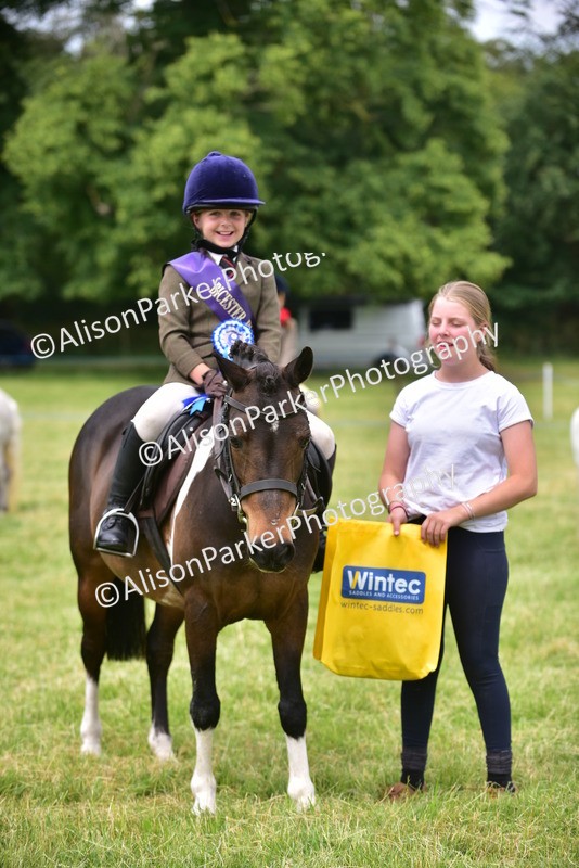 20260614-3725 - Class 15 - Prettiest Mare
