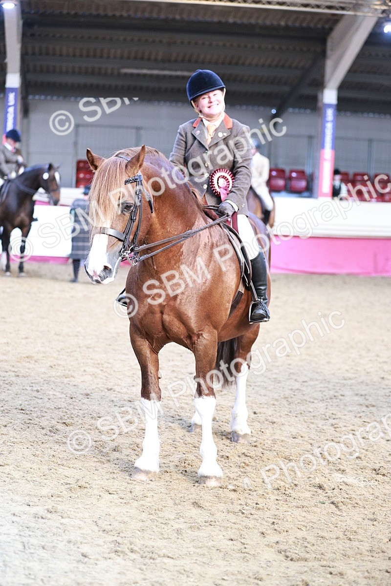 SBM_09125 - Class 12R - Regional Ridden Pre-Vet