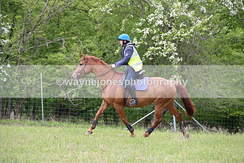 WJ6_1789 - Group 7 A&B Cameras