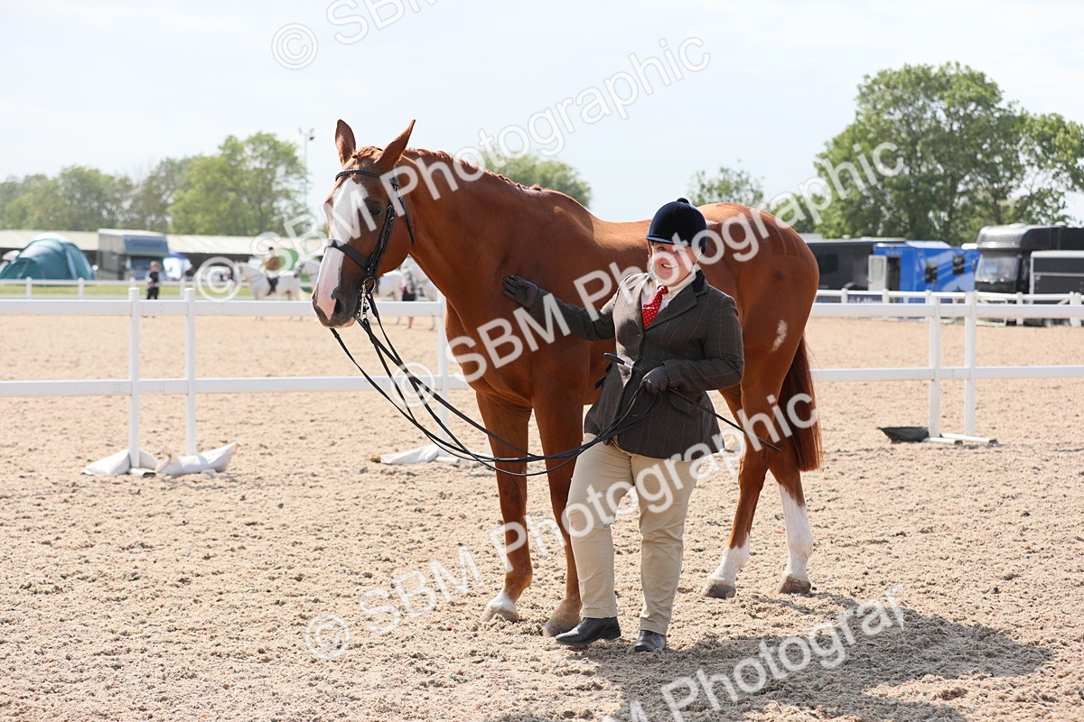 SBM_15781 - Class 312 IH Competition Horse/Pony