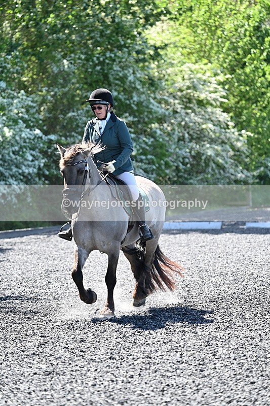 WJ7_9378 - Time 12:10 to 12:21