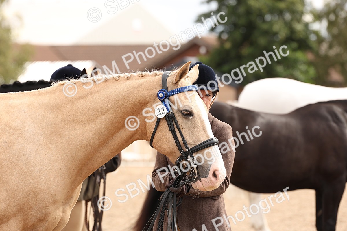 SBM_14698 - Class 208 - IH Veteran Horse