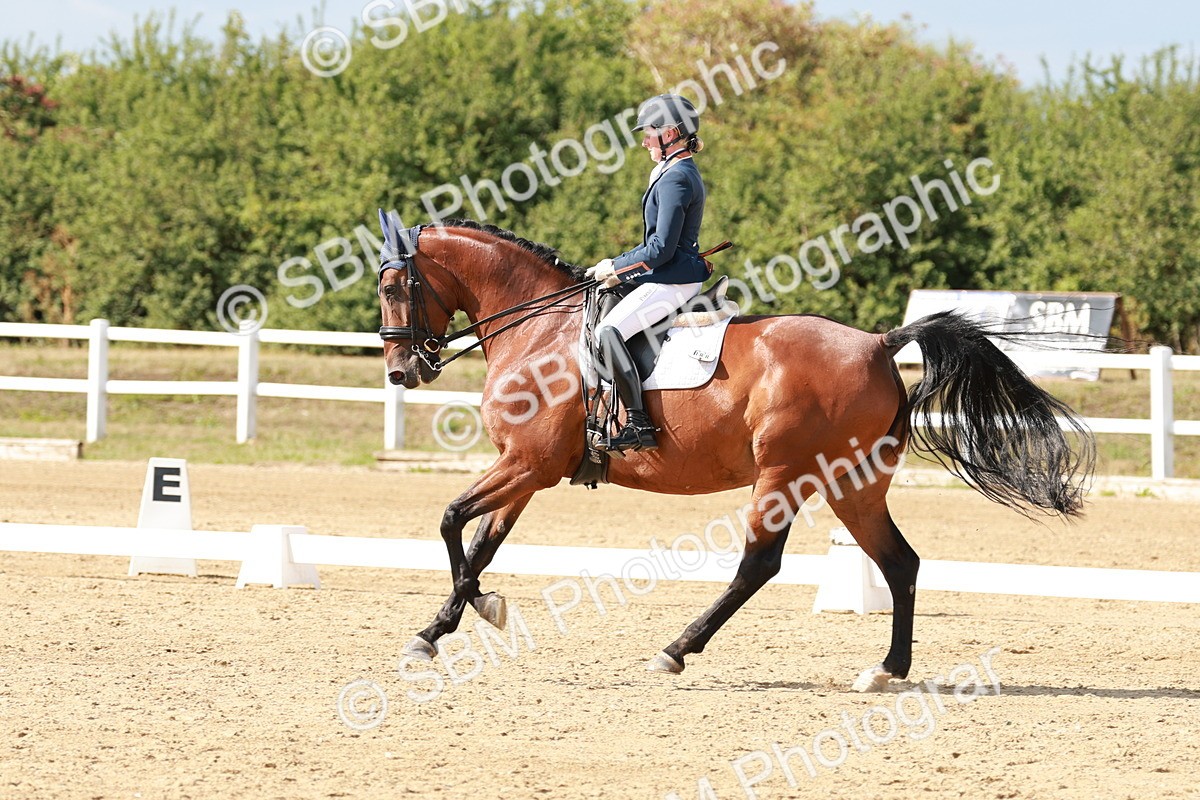 SBM_002517 - Class 11 - Medium 6