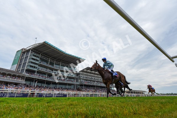 170623-Race 3-Quickthorn--2 - Race 3 3.05pm Sky Bet Race To The Ebor Grand Cup Stakes