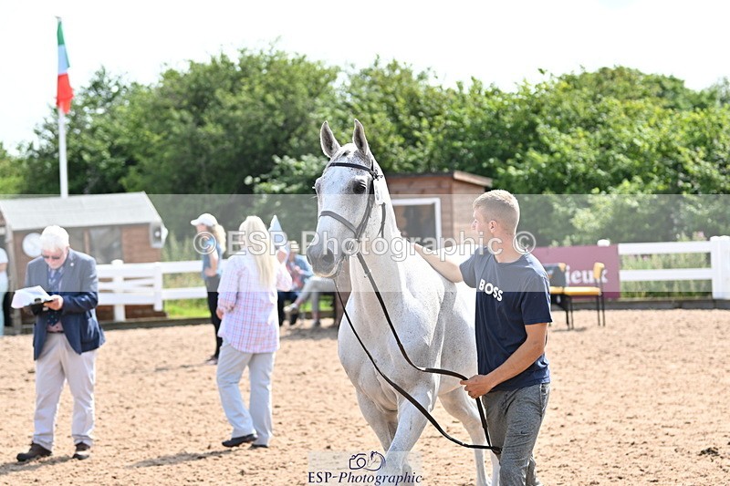 240717A-155129-03111 - Trot Up 3pm to 4pm