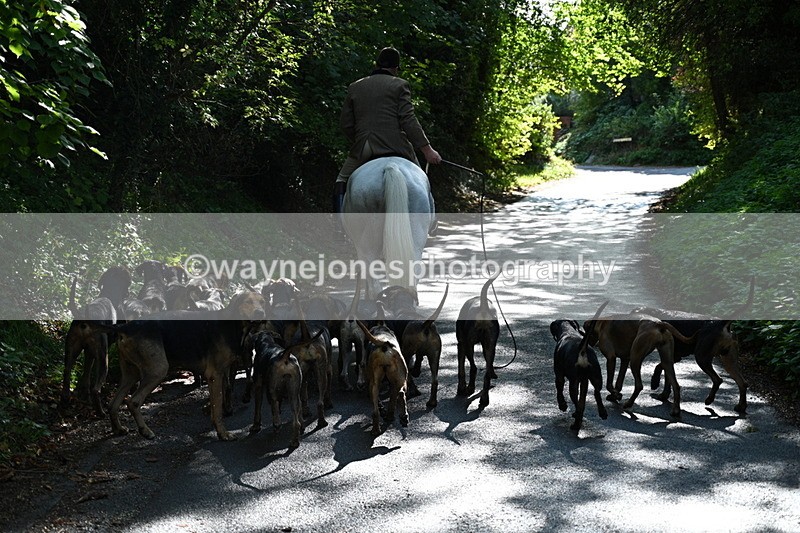 WJ7_6027 - Hounds Water Crossing