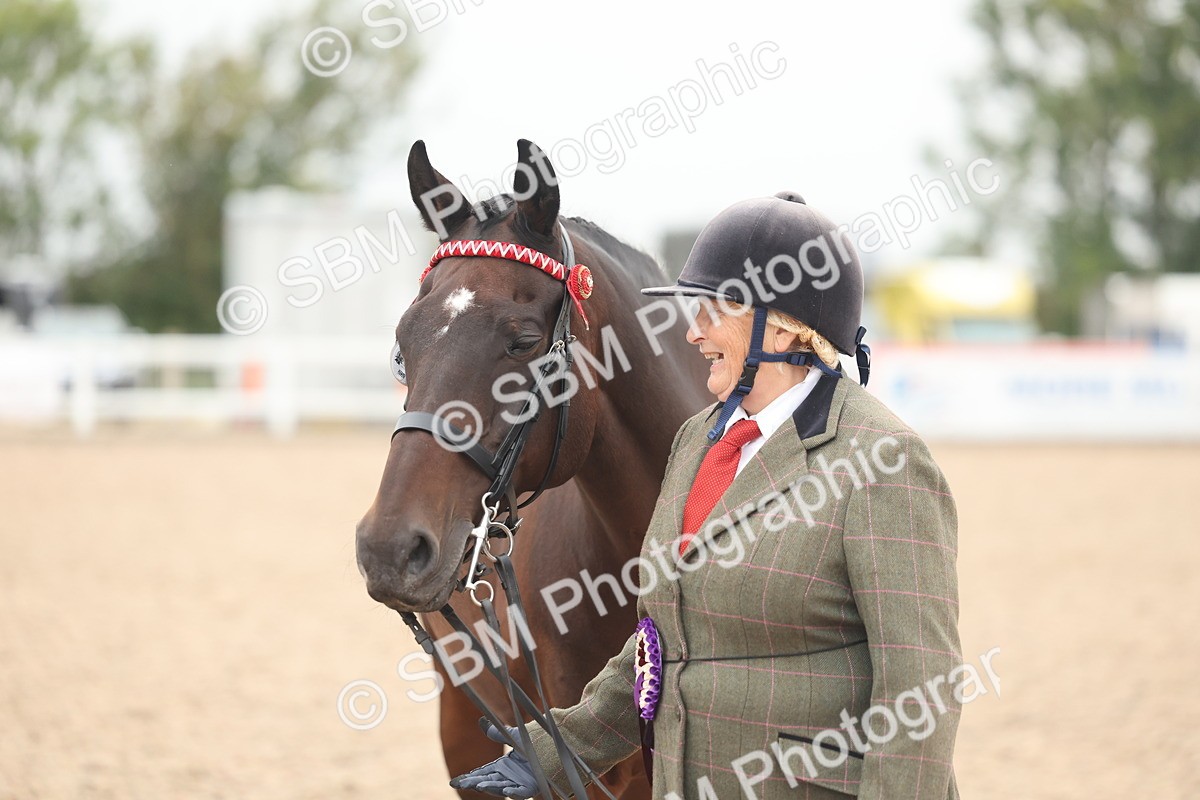 SBM_19908 - Class 318 - IH Part Bred Horse-Pony