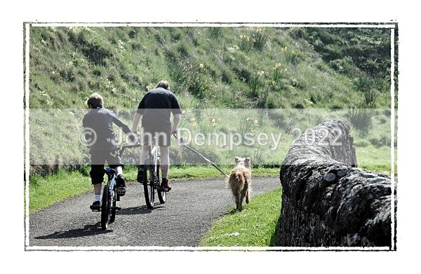 Walking Jake Home - Walking the Dog
