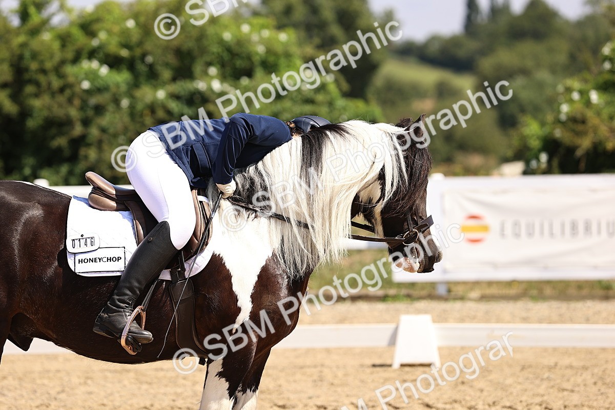 SBM_003760 - Intro 2