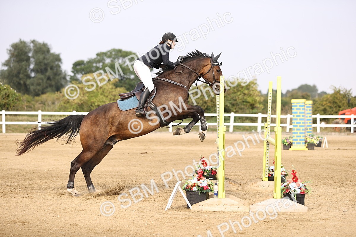 SBM_03690