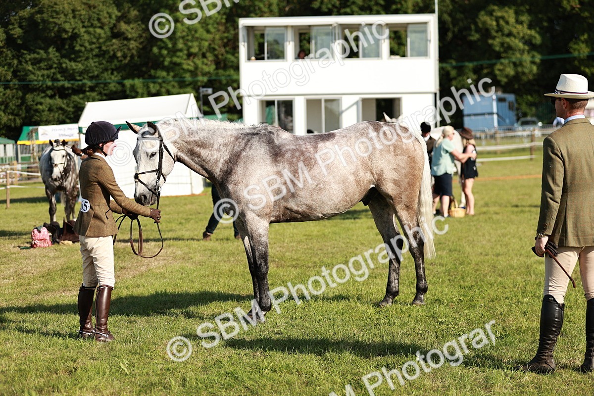 SBM_20035 - Class 115-116 - LIHS BSHA Rising Star Working Hunter & Show Horse