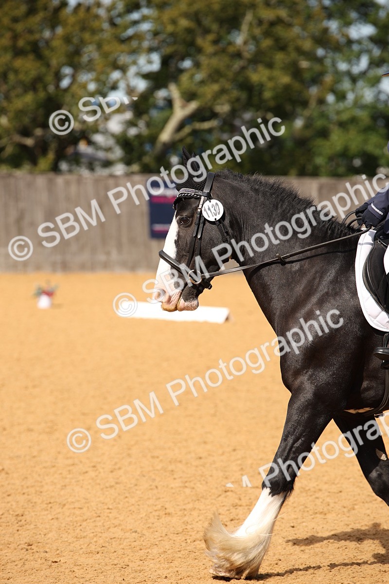 SBM_21726 - D5 - Small Tour Championship - Intro C