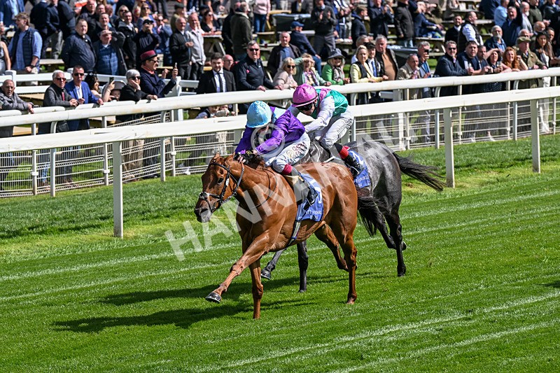 140526-Race 4-See The Fire-0202 - Race 4 3.30pm Al Basti Equiworld Dubai Middleton Fillies' Stakes