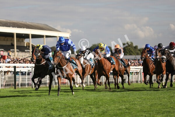 yr19082022r7-26 - Race 7 5.20pm Sky Bet Mile Stakes