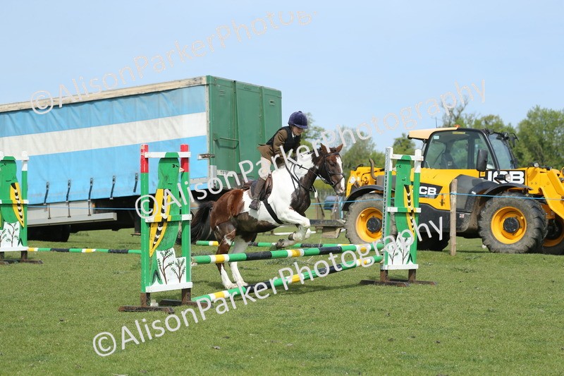 20260426-1594 - Class 14 - Novice 60cm