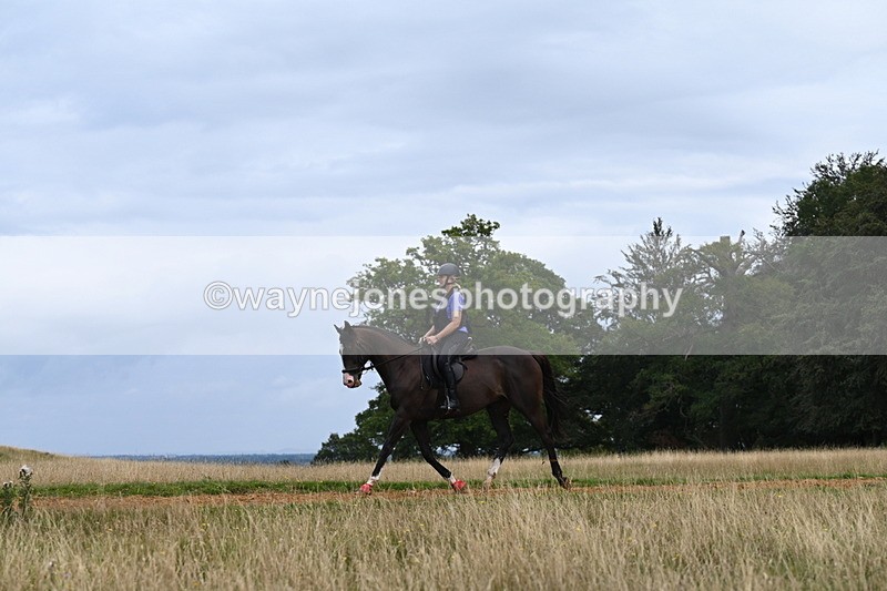 DSC_6211 - Time at Statue 12:17 to 12:44