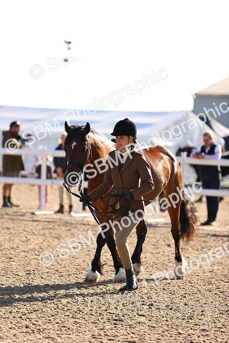 SBM_08479 - Class 402 - IH Veteran Pony