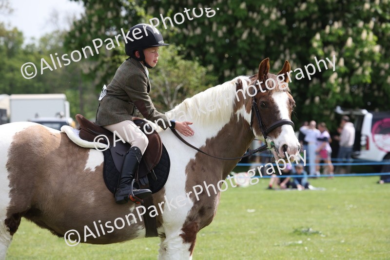 20260426-4422 - Class 34 - Best Riding Horse Over 14.2hh