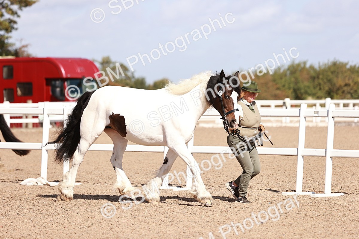SBM_22951 - Class 707 - IH groom Helpers Class