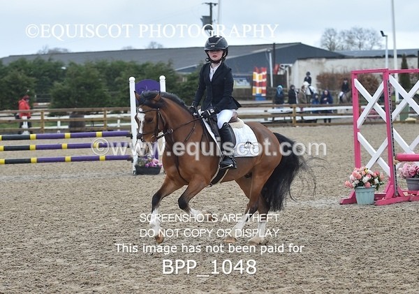 BPP_1048 - CLASS 1 Club/ Unaffiliated 60cms Open