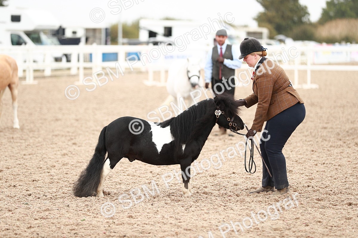 SBM_12545 - Class 207 IH M&M