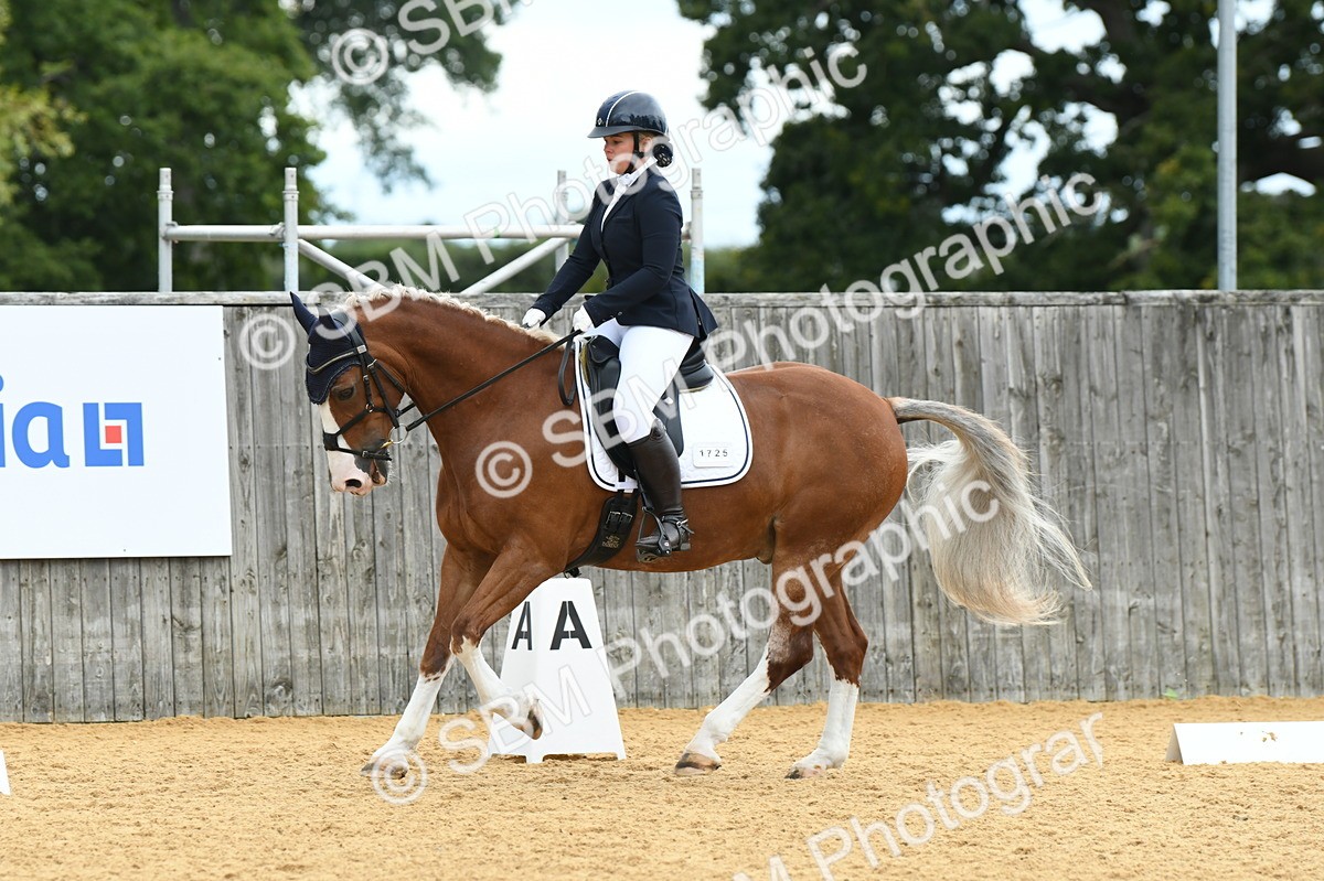 SBM_09929 - D15 Small Tour Championship Novice 24
