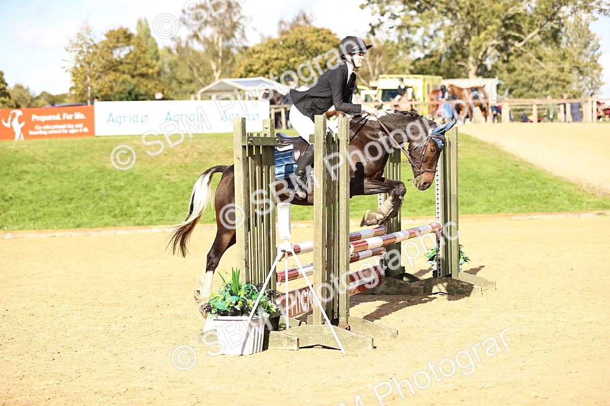 SBM_51338 - J10 - Junior Pony 75cm Championship